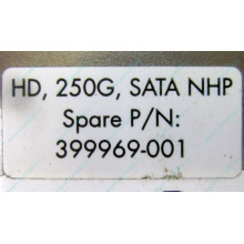 HP 250G 7.2k 432337-001/ 399699-001 / 397377-004 SATA HDD (Электроугли)