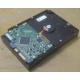 Жесткий диск HP 250Gb 7200 rpm 432337-001/ 399699-001 / 397377-004 (Электроугли)