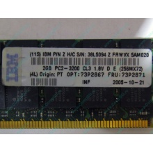 IBM 73P2871 73P2867 2Gb (2048Mb) DDR2 ECC Reg memory (Электроугли)