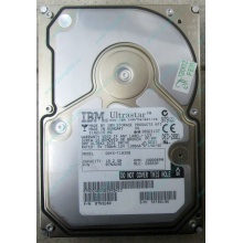 Жесткий диск 18.2Gb IBM Ultrastar DDYS-T18350 Ultra3 SCSI (Электроугли)