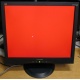 Монитор 19" ViewSonic VA903b (1280x1024) есть битые пиксели (Электроугли)