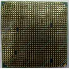 Процессор AMD Athlon 64300+ (1.8GHz) ADA3000IAA4CN s.AM2 (Электроугли)